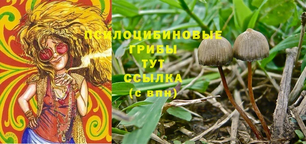 сатива Балабаново
